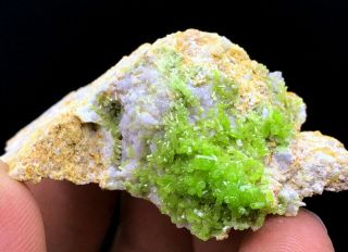 24g Natural Clear Green Pyromorphite Crystal Cluster Rare Mineral Specimens