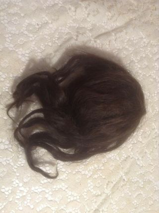 Antique 10 " Circumference Black Human Hair Doll Wig - Needs Attention