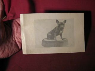Antique Advertising Flyer For Old Grist Mill Puppy Bread & Veterinary Medicines
