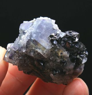 42g Rare Natura White Cube Fluorite & Pyrite Mineral Specimen/china126