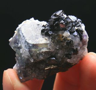 42g Rare NATURA White Cube FLUORITE & Pyrite Mineral Specimen/China126 2