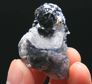 42g Rare NATURA White Cube FLUORITE & Pyrite Mineral Specimen/China126 3