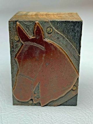 Antique Copper Letterpress Printers Wood Block Horse