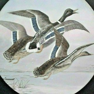 Antique Victorian Oil Painting Ducks In Flight Antique Frame Signed