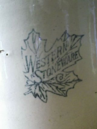 Western Stoneware 1/2 Gallon Crock Jug with Maple Leaf 2