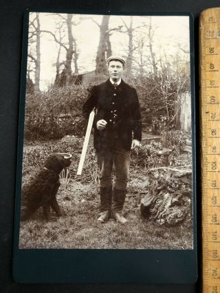 V Antique Victorian 1800s Hunter Shotgun Retriever Dog B&w Photo Cabinet Card