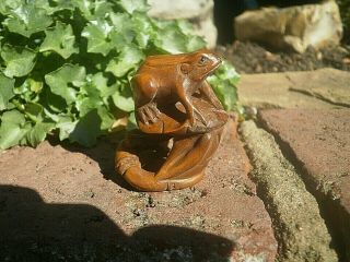 Hand Carved Wood Netsuke Frog Upon Lotus Plant ? Collectable Boxwood Figure.  3