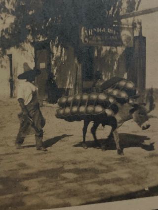 Antique Early 1900s Cabinet Card Photo Donkey Carrying Load Mexico Mexican