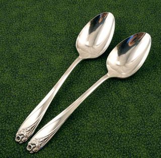 Tablespoons Serving Spoons Daffodil 1847 Rogers Bros Vintage Silverplate