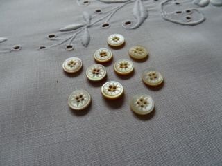 Pretty Set 10 Antique/vintage Small Carved Mother Of Pearl Mop Buttons 3/8 " /10mm