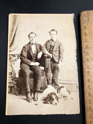 Q Antique Victorian Lamater Boys Spaniel Dog Portrait B&w Photo Cabinet Card