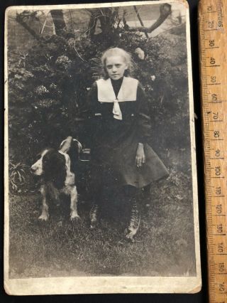 Q Antique Victorian Garden Walk Girl Spaniel Dog B&w Bed Photo Cabinet Card