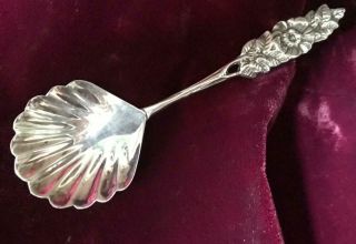 Antique Swedish Sterling Silver Tea Caddy Spoon Shell Bowl Floral Handle 5 " L