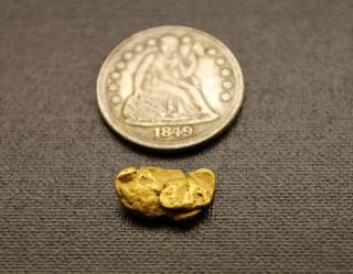Large 1.  49g Rare Gold Nugget Historic Elk Creek Montana Natural Hand Dug 11.  5 Mm
