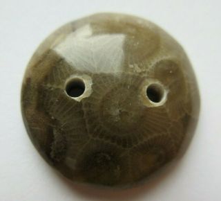 Very Unique Antique Vtg Carved Polished Stone Button 2 - Hole Design 7/8 " (c)
