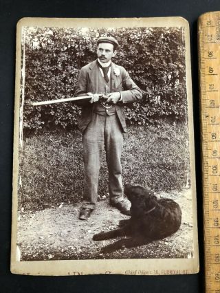 U Antique Victorian 1800s Hunter Shotgun Retriever Dog B&w Photo Cabinet Card