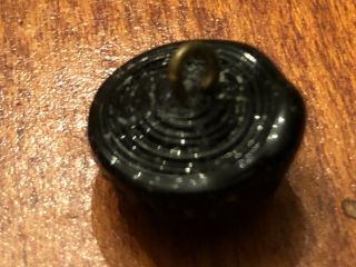 Sweet Antique Black Glass button,  Realistic Scallop Sea Shell,  Swirl Back, 3