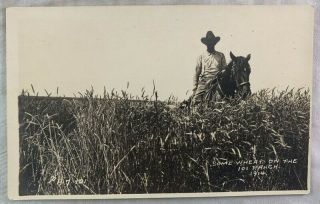 Antique Postcard Rppc Real Photo 1914 Wheat On 101 Ranch Ponca City Ok Cowboy
