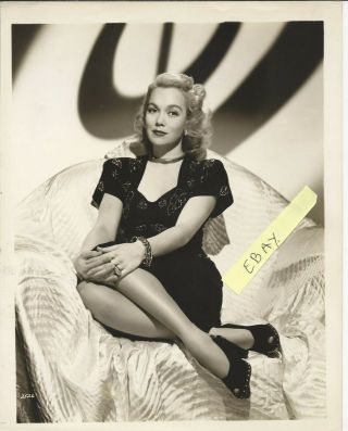 Jane Wyman Vintage 10x8 Rare Sexy Blonde Photo Portrait Hollywood Glamour