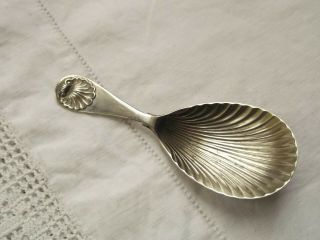 Vintage Loose Leaf Tea Caddy Spoon Silver Plate Shell Pattern Gresham & Sons