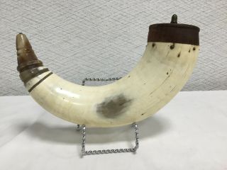 Antique Carved Bovine Bone Powder Horn 9 7/8 Inch Long Wood Cap And Metal Finial