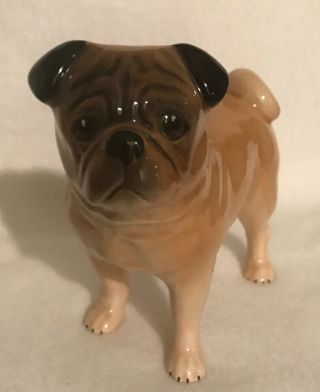 Sweet 4.  5”x5.  5” Antique Porcelain Pug Dog Marked England