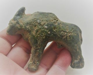 European Finds Ancient Roman Bronze Bull Mount Circa 200 - 300ad