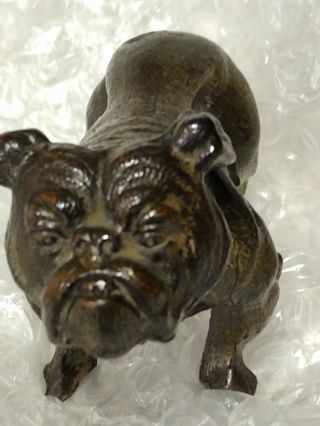 Antique French English Bulldog Miniature Brass Bronze Figurine 3 " X 2 " & 12.  5 Oz
