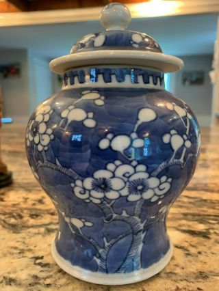 Fine Chinese Kangxi Porcelain Ginger Jar In Prunus Pattern