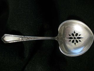 Towle Silver Smiths Circa 1923 D ' Orleans Tomato Server Sterling Silver 3