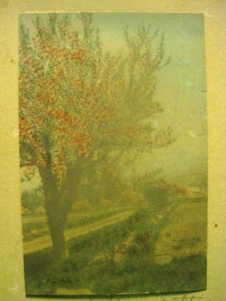 Vtg Signed 1920 Wallace Nutting Hand Colored Fruit Trees In Blossom Along A Path