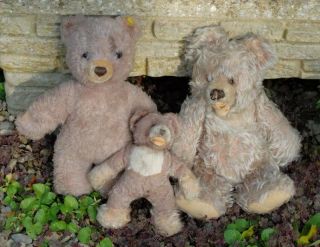 3 Old Vintage Steiff Bears,  For Tlc In As Found,  A