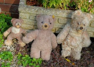3 OLD VINTAGE STEIFF BEARS,  FOR TLC IN AS FOUND,  A 2