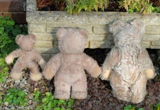 3 OLD VINTAGE STEIFF BEARS,  FOR TLC IN AS FOUND,  A 3