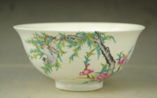 Rare Chinese Porcelain Qianlong Dynasty Plum Blossom Tree Bowl Bowls Statue B01