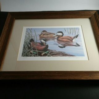 Vintage Framed,  Matted,  And Signed Print Of Three Ducks Aprox.  16x13 Framed