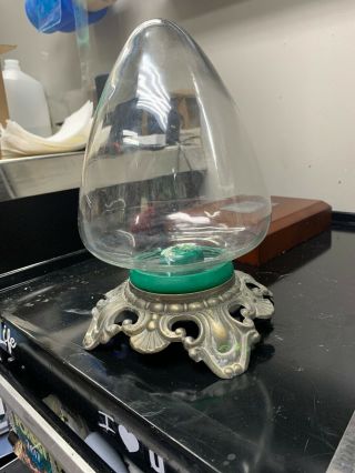 Antique Glass Globe Wet specimen Display 2