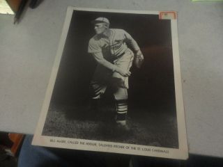 Rare 1941 St.  Louis Cardinals Pitcher Bill  The Fiddler  Mcgee Photograph