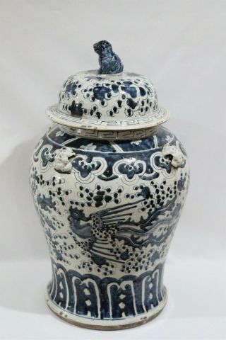 Rare Huge Old Chinese Blue White Porcelain Rooster Foo Dog Lidded Ginger Jar 2