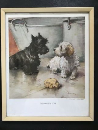 Two Grubby Dogs Framed Vintage Print By C.  Ambler 1930 