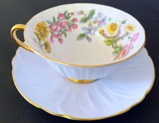 Stunning Rare Shelley Blue Oleander Footed Cup & Saucer Gold Floral & Gold Trim