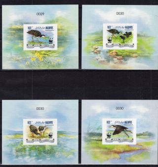 Rare - Maldives - Wwf - Birds On Postage Stamps - 4 Hard Deluxes Mnh Af1