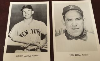 York Yankees Team Photo Complete Set (12) Jay Publishing 1960 