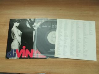 Divinyls - Divinyls Korea Orig Vinyl Lp 1991 Insert Rare