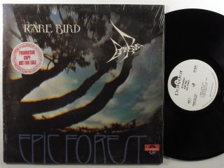 Rare Bird Epic Forest Polydor Lp Wlp W/one Sheet Shrink