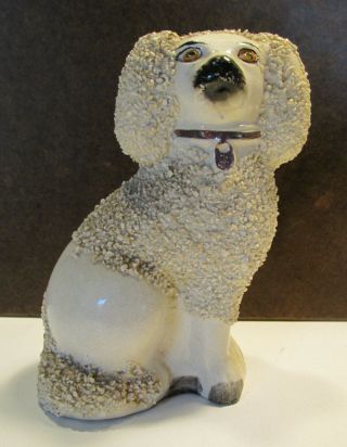 Antique Staffordshire Ware England Poodle Dog Figurine,  Confetti