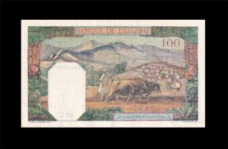 1942 French Algeria 100 Francs Africa Rare ( (aunc))