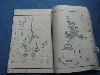 Japanese Woodblock Print Book Ikebana Japanese Flower Arrangement Edo?