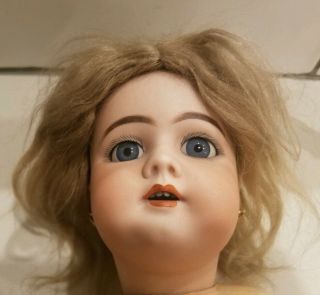 Heinrich Handwerck 21 " Composite Doll W/bisque Head German Dep Rare Size No Rsv