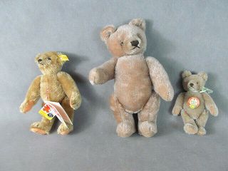 3 Vintage Steiff Teddy Bears One Signed 1986